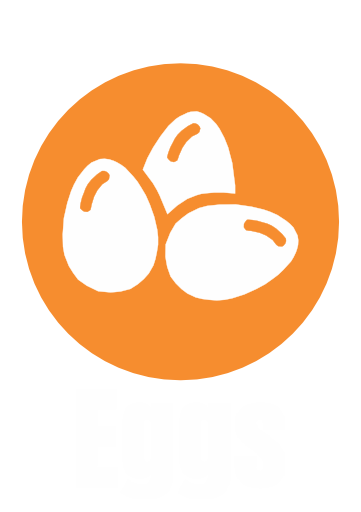 Eggs